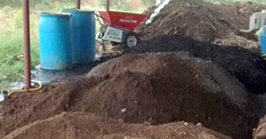 Natural Manure